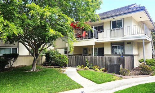 new horizons torrance 55